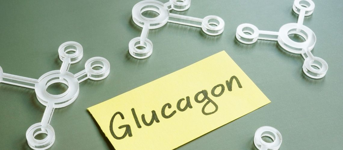 Glukagon Nedir Glukagon Hormonu Ne Ise Yarar Glukagon Nedir? Glukagon Hormonu Ne İşe Yarar?